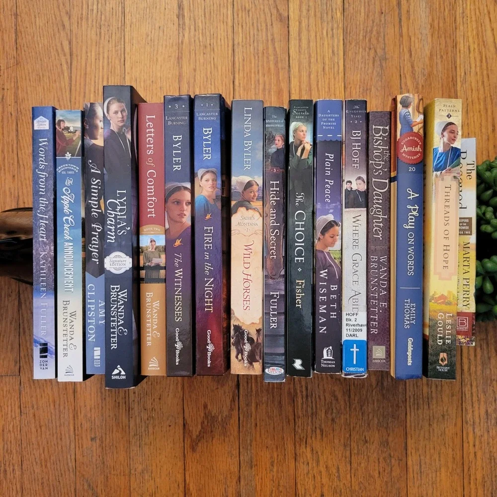 Wanda Brunstetter Linda Byler Fisher‎ 16 Amish Fiction Book Lot Gift Christian